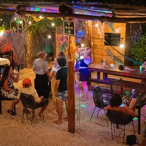 Mapache & Isla Holbox