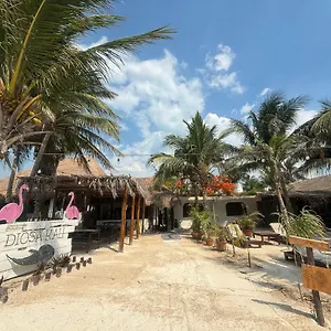 Hotel La Diosa Kali Front, Isla Holbox